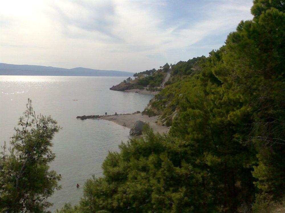 Villa Sanja Mimice Exterior photo